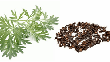 Nelken y Wormwood para eliminar los parásitos del cuerpo