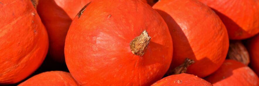 Calabaza contra gusanos