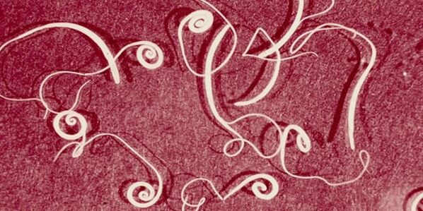 Foto de parásitos humanos.